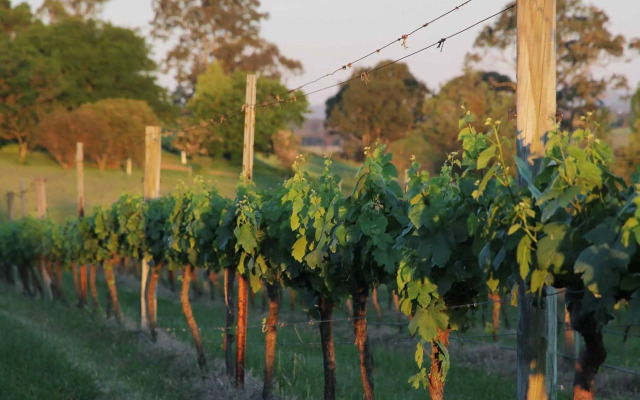 Sovereign Hill Country Lodge