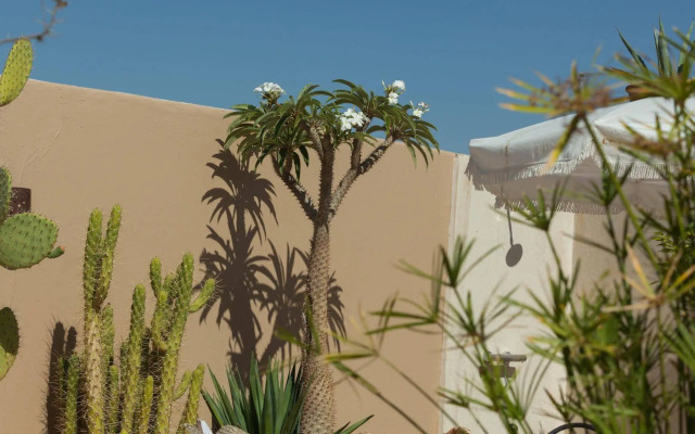 Riad Les Orangers d'Alilia