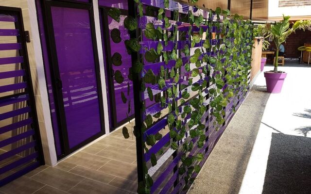 Purple Monkey Hostel