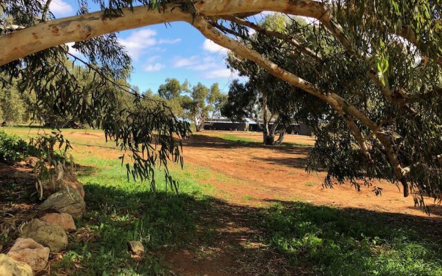 Wooramel Riverside Retreat - Campground