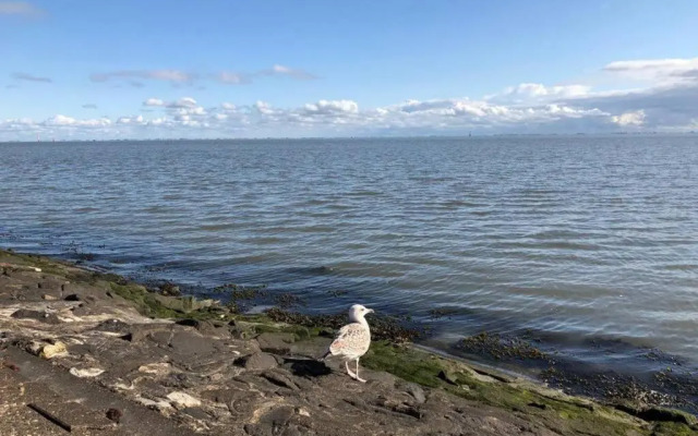 Wilhelms Havenkoje - gemütliches Innenstadtappartment