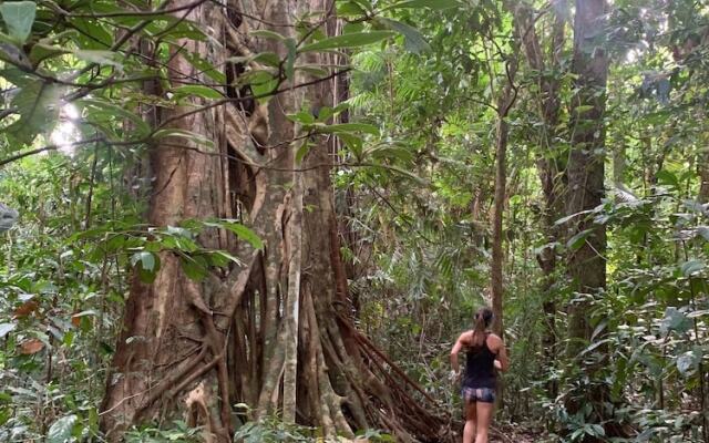 Noah Creek Eco Huts