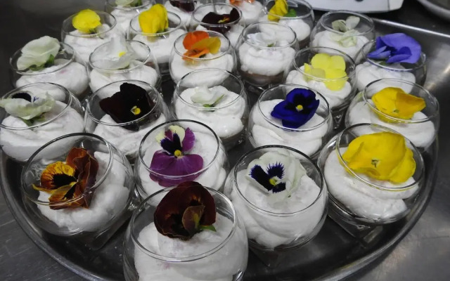 Hotel Rural El Molí