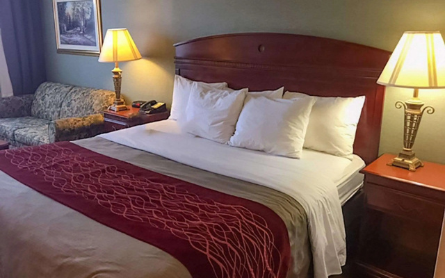 Comfort Inn Springfield