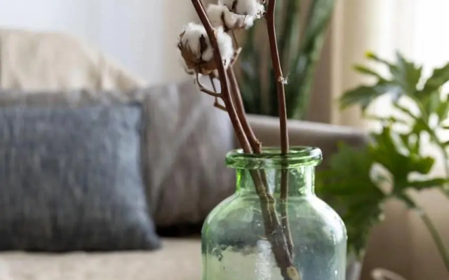 Rotem Home