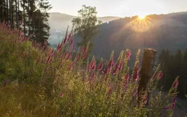 Landgasthof zum Sorpetal