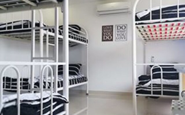 Cat's Hostel