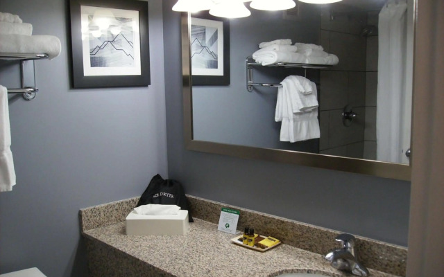 Larkspur Landing Select Carlisle