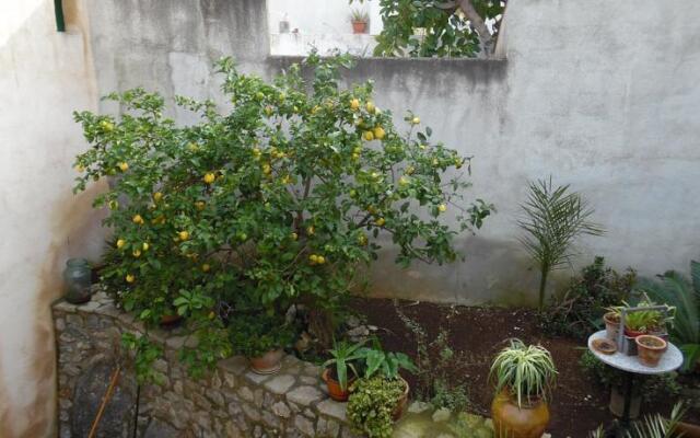 Casa rustica Arta