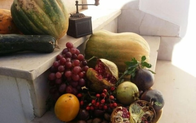 Agriturismo Regno di Marzagaglia