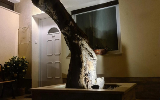 Vila Tena Rovinj Croatia