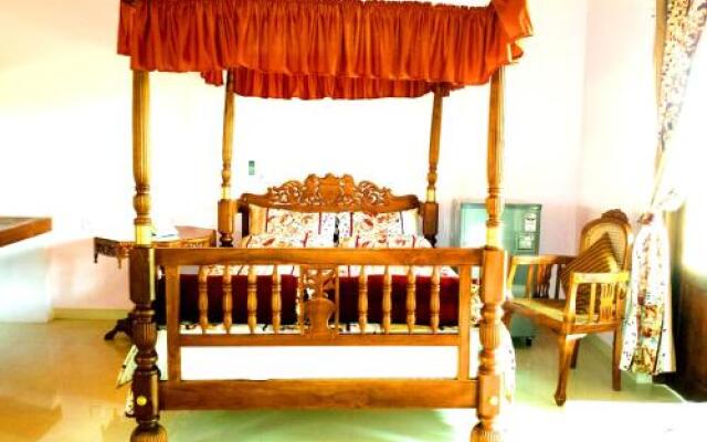 Dr. Mikes Family Ranch