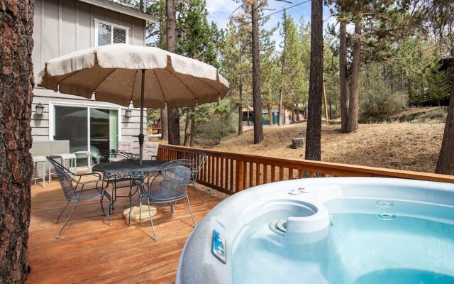 Living THE Dream #1807