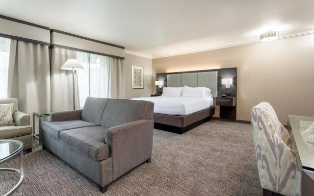 Holiday Inn Auburn by IHG