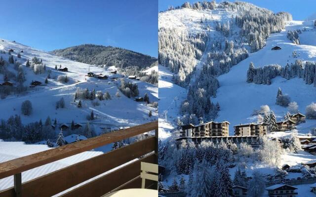 Appartement La Clusaz, 1 pièce, 4 personnes - FR-1-459-62