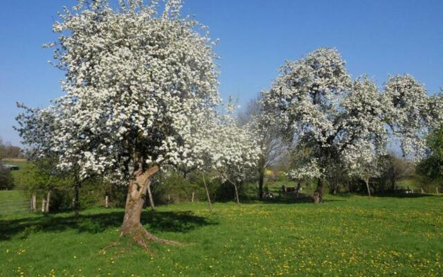 Gîte la Baroche-Sous-Lucé, 3 Pièces, 5 Personnes - Fr-1-497-7