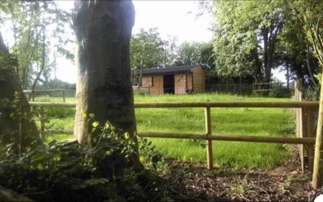 Meerkat Manor B&B