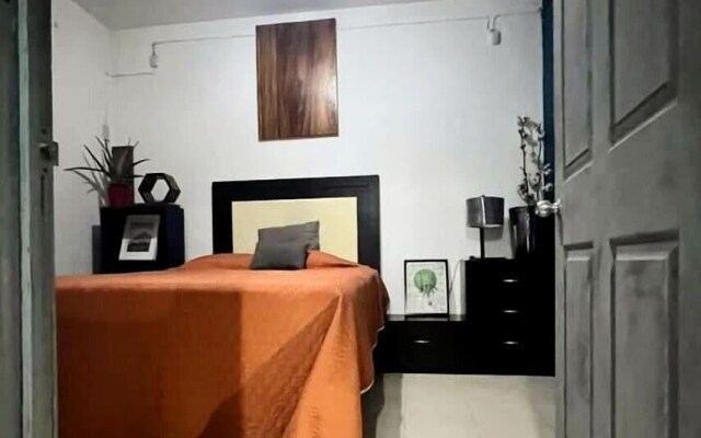 Suites Bugambilias Rooms Primavera Bosque