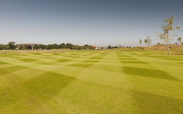 The Green