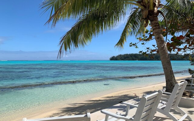 Moorea Island Beach