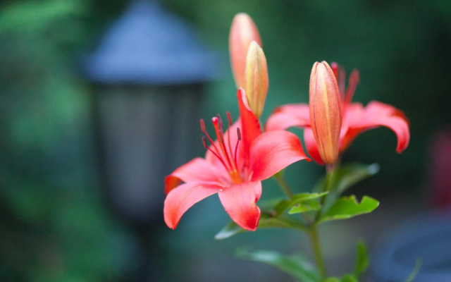 Theater and Beach Apartment