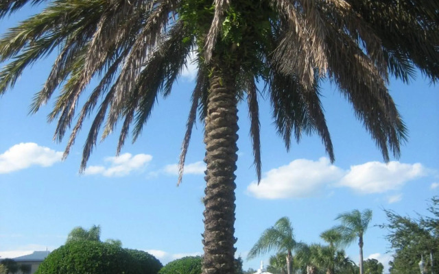 Monumental Hotel Orlando