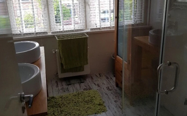 Impeccable 4-bed House in Castricum Butterfly