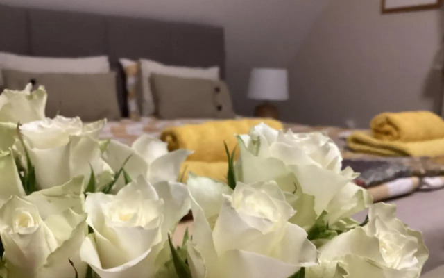 Rooms for Rent near Budapest