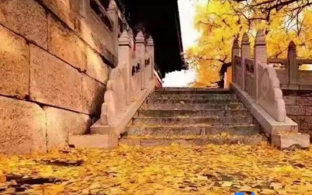 Wutaishan Huixinyuan Homestay (Zhenrongsi Branch)