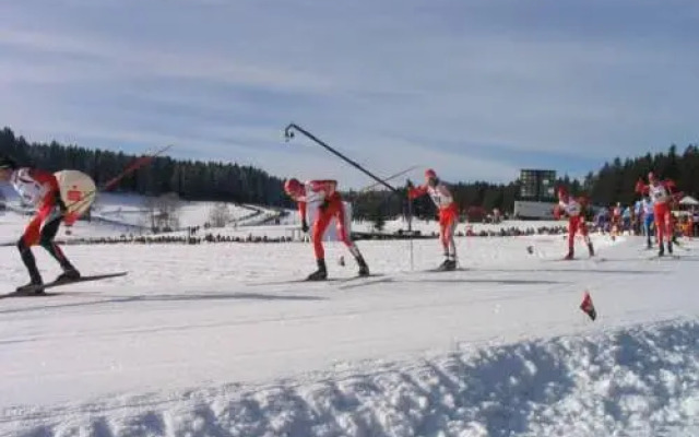 Schwarzwaldhäuser Appartment 63