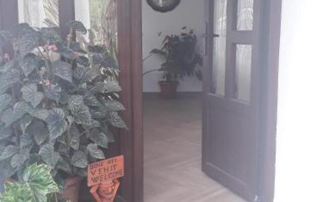 Casa Flavius