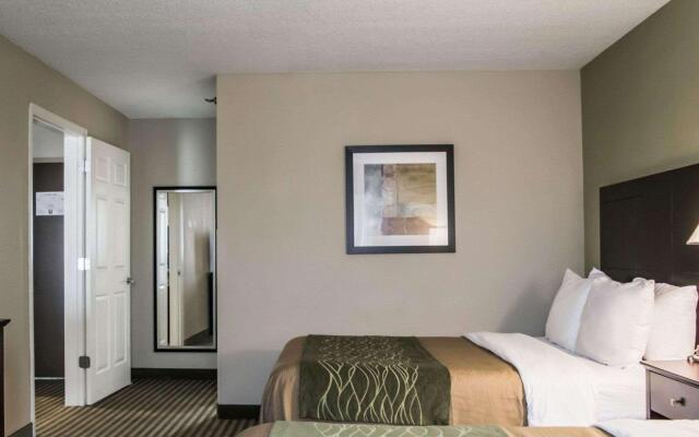 Comfort Inn & Suites St. Pete - Clearwater International Airport