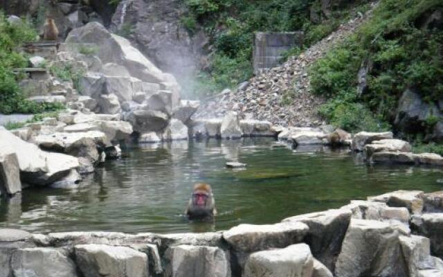 Nagano Farmstay