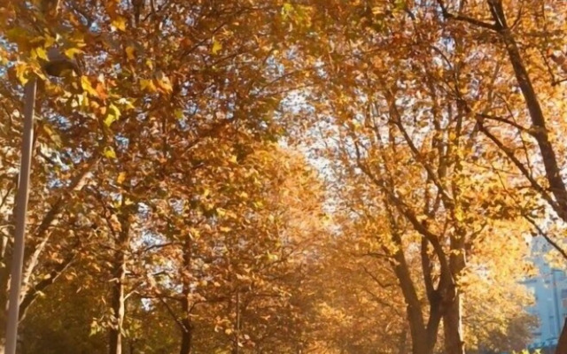 Mita Milano Rooms with Terrace