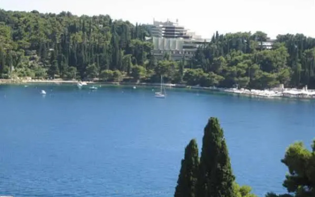 Villa Rozic
