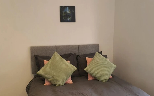 Nice Apartment in Leiceser