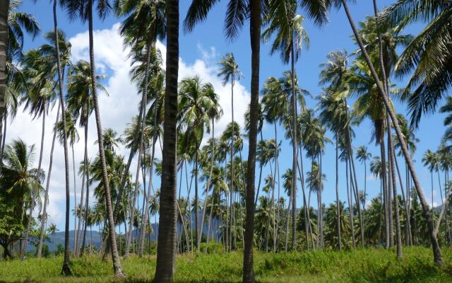 Maenam Hills Samui