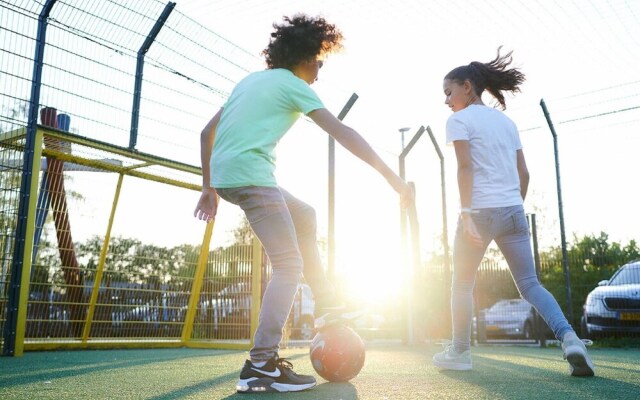 Detached Villa with Outdoor Fireplace near Veluwe