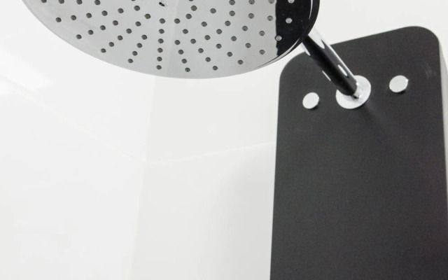 Minty Stay - Jose Ortega y Gasset