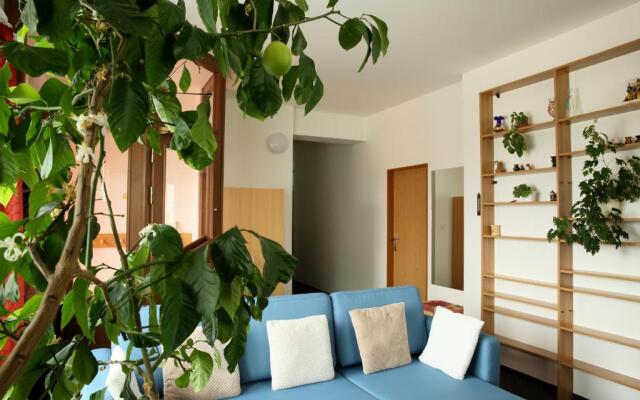 Apartman Flora