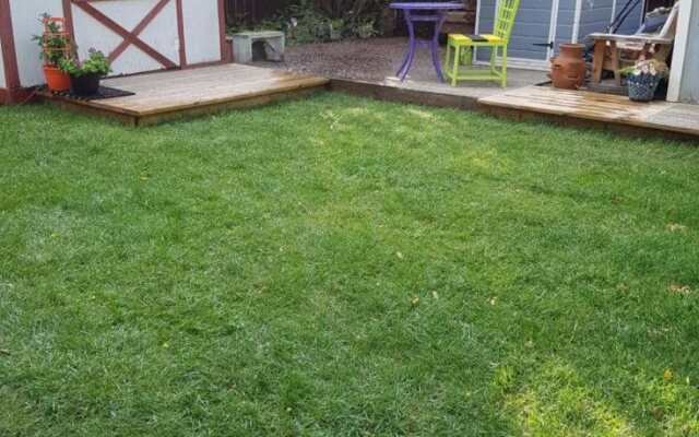 The Beez Kneez Bakpakers