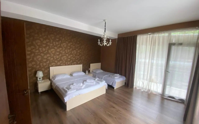 Borjomi Central