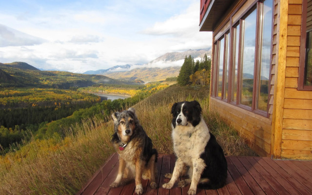 Stikine View Lodge