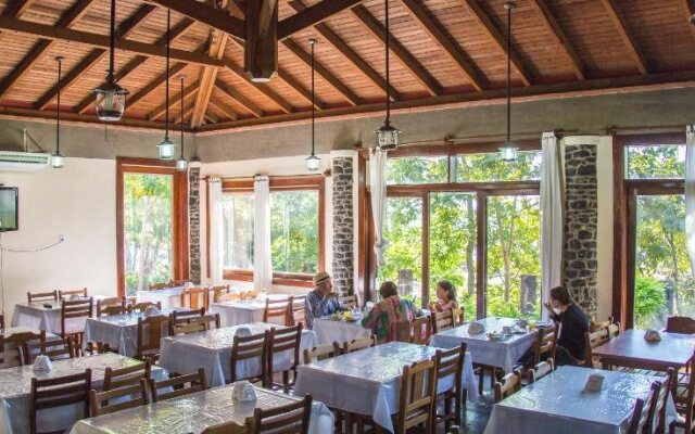 Candeias Hotel Gold Fish