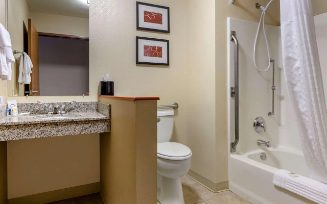 Comfort Inn Bozeman near University
