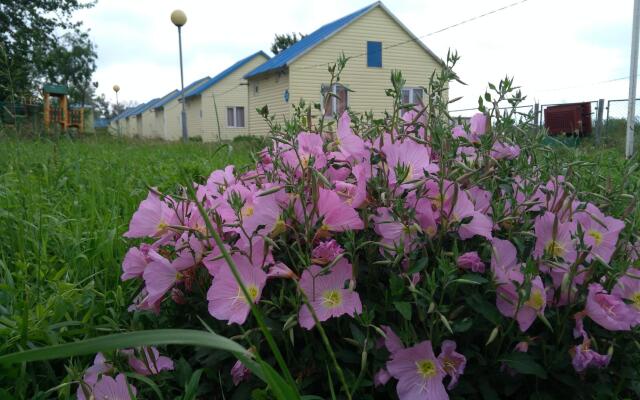 Ladoga
