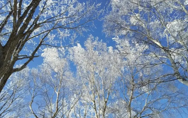 Okuyama Pension Radish