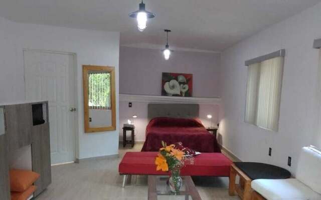 Nido de Colibrí Hotel Relax