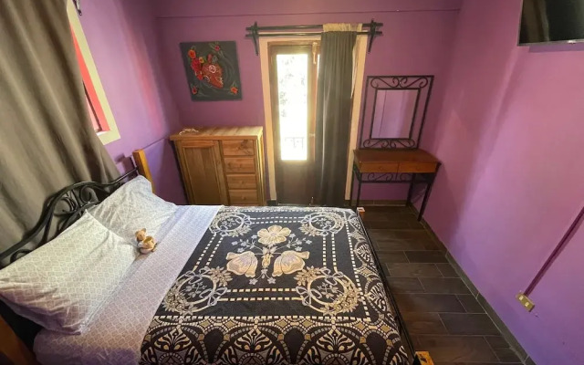 Casa Jardín Reforma