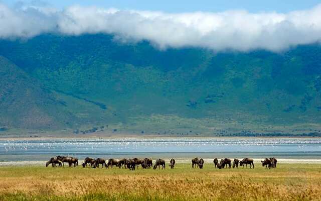 Ngorongoro Serena Safari Lodge